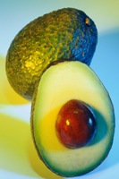 Picture of an avocado